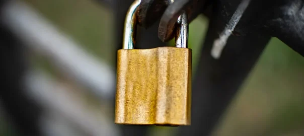 Free McAfee antivirus scan: what it covers and when to use it