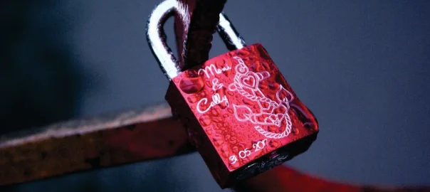 What OS does McAfee support?