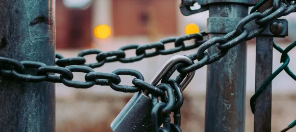 Which Antivirus Is Best for Families: McAfee or Trend Micro?