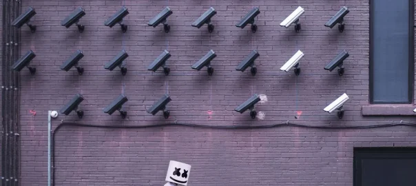 Is McAfee or Bitdefender Better for Malware Protection?