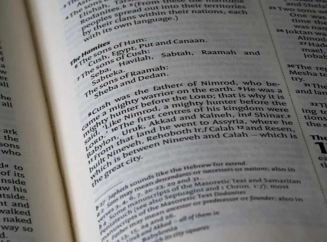 Understanding McAfee Subscription Terms and Conditions 1 Understanding McAfee Subscription Terms and Conditions